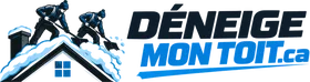 Déneige Mon Toit